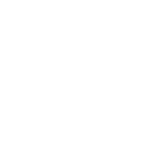 Bag Preferences icon